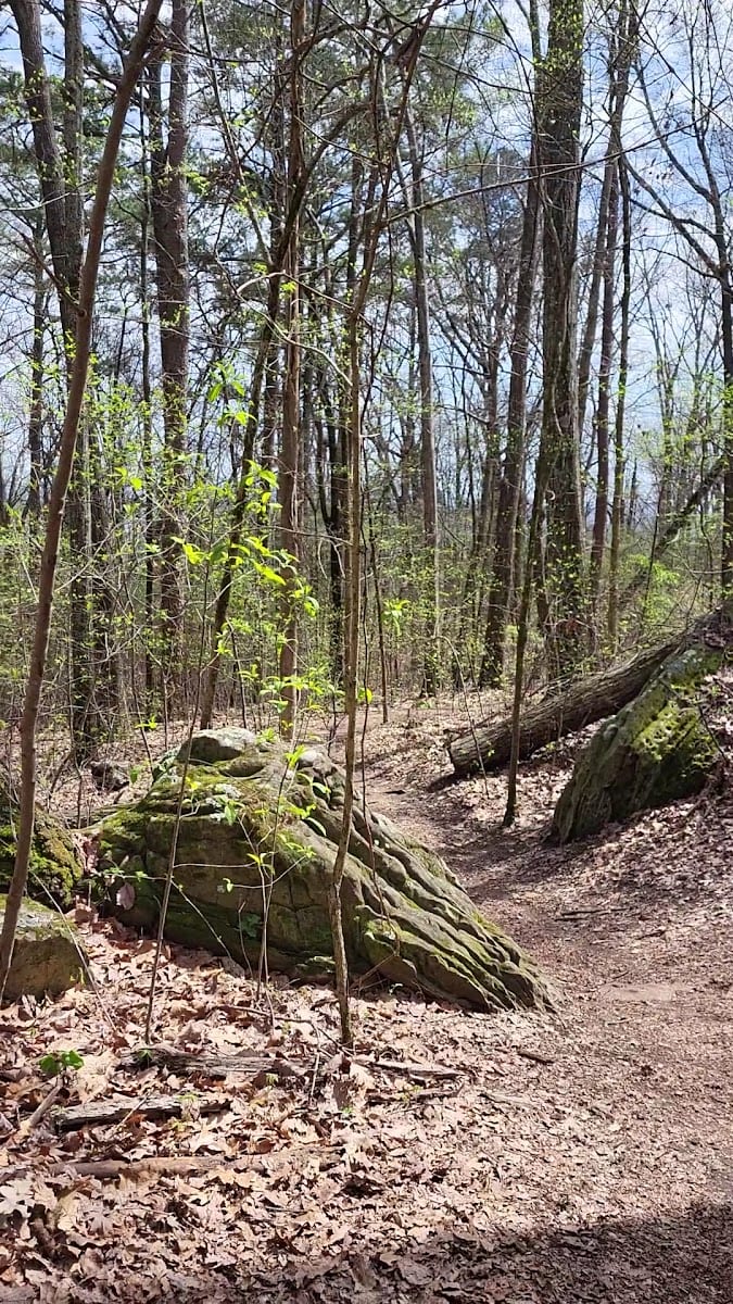 Rainbow Mountain Nature Preserve, photo 2