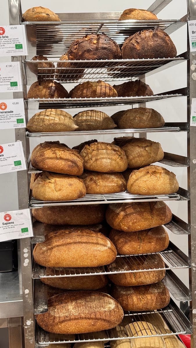 Pane Vivo - Bac, photo 3