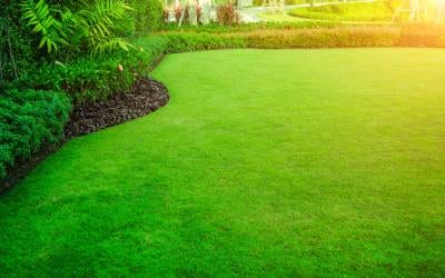 North Country Lawn and Maintenance, photo 2