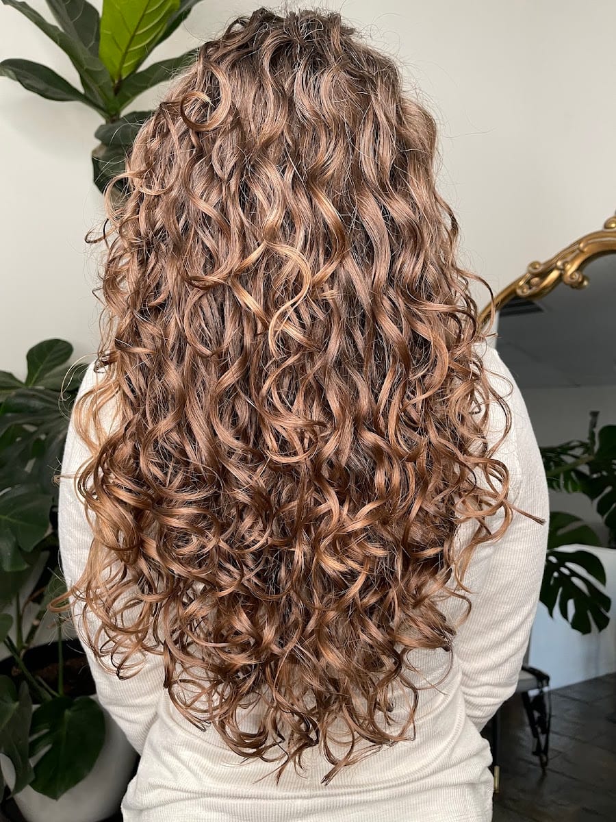 Bella Curl Salon, photo 4