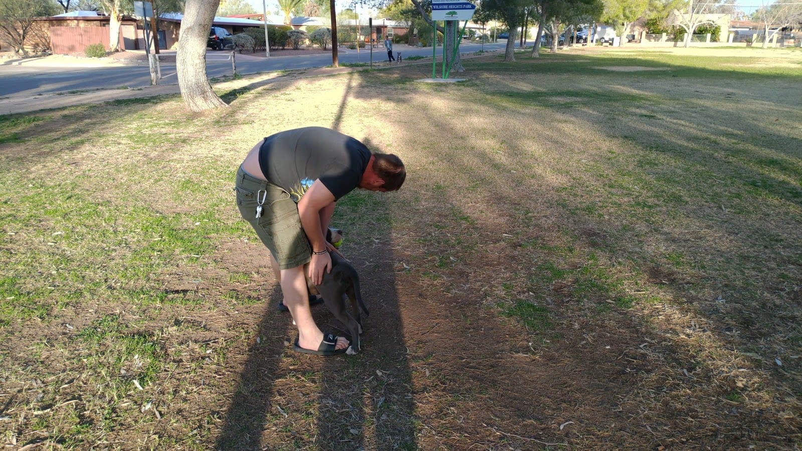 Wilshire Heights Park, photo 2