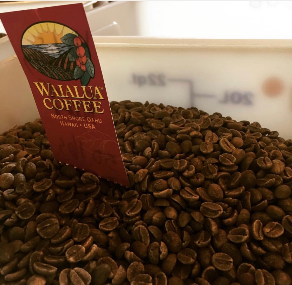 North Shore Coffee Roasters, photo 4