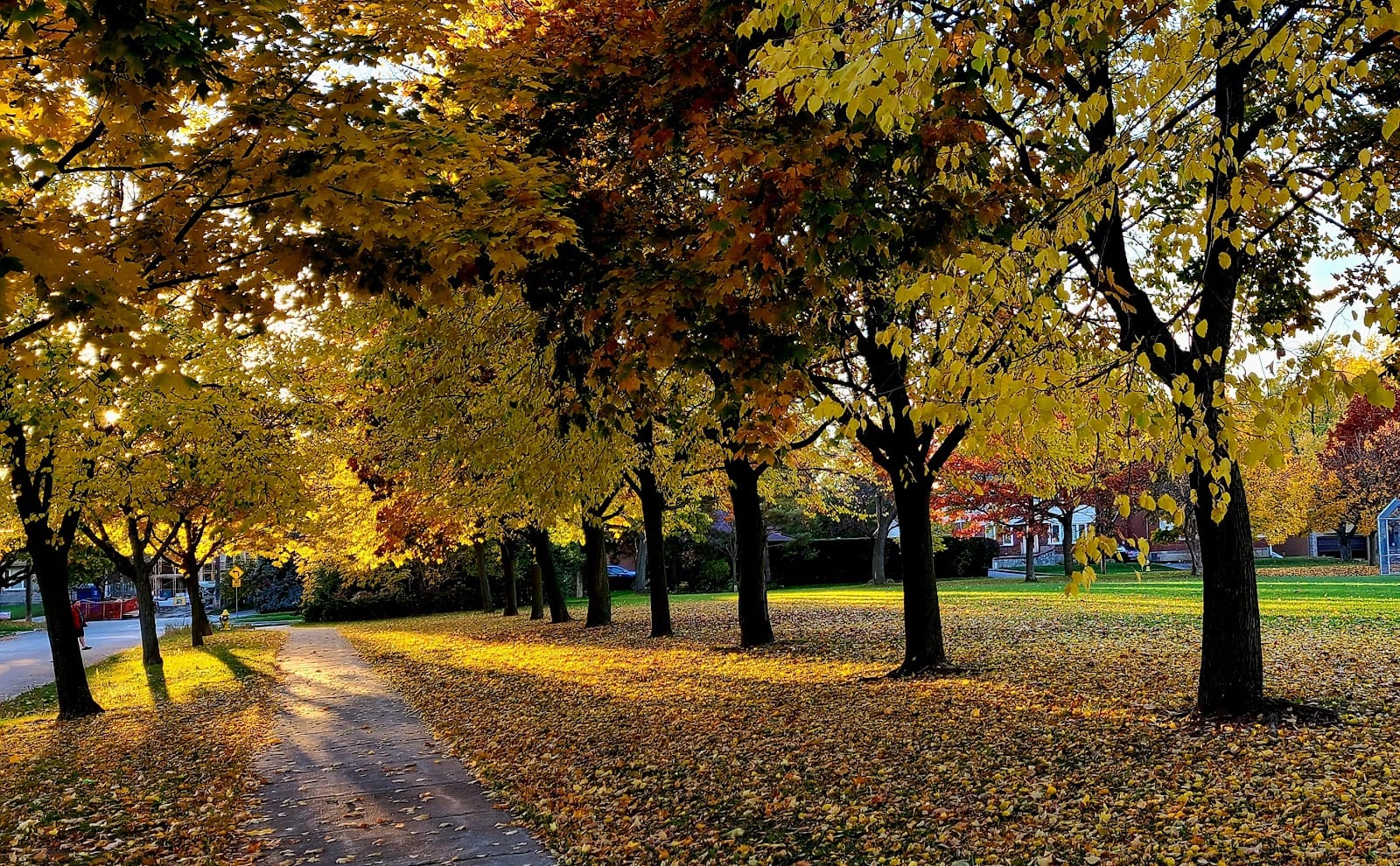 Edithvale Park