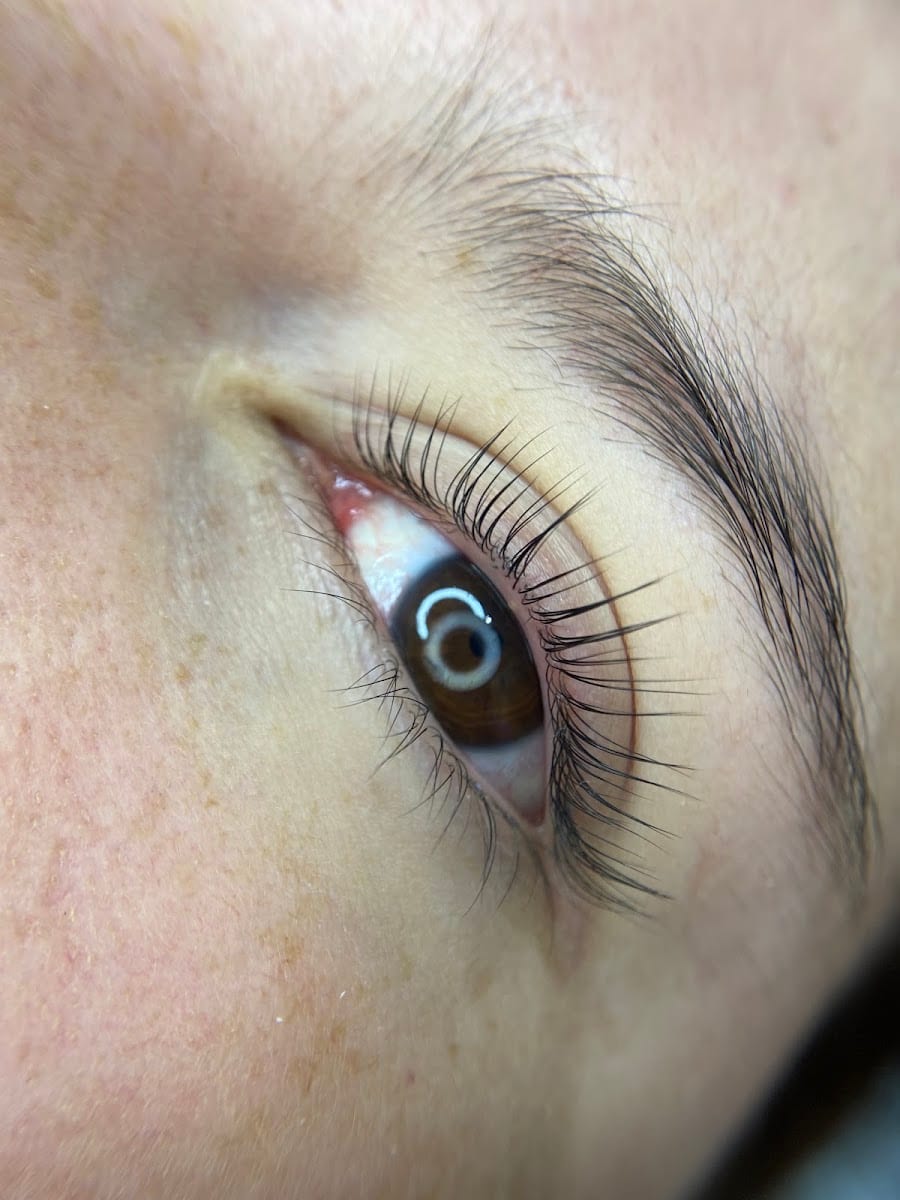 Perfection Brows Beauty