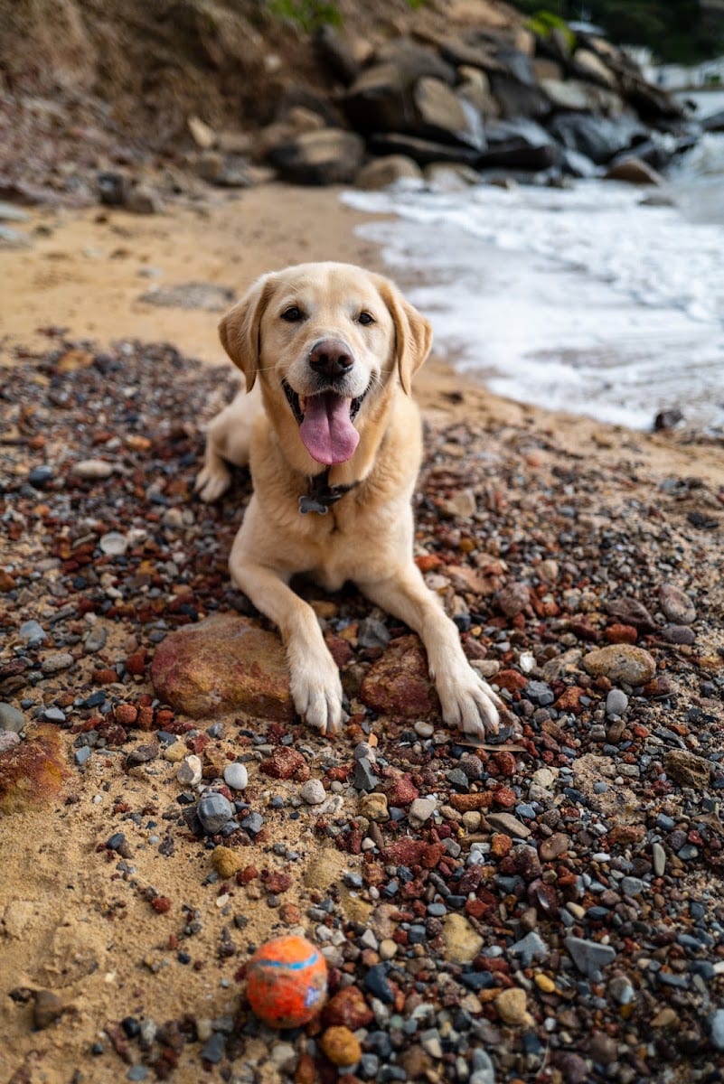 Kosi’s Beach, photo 3