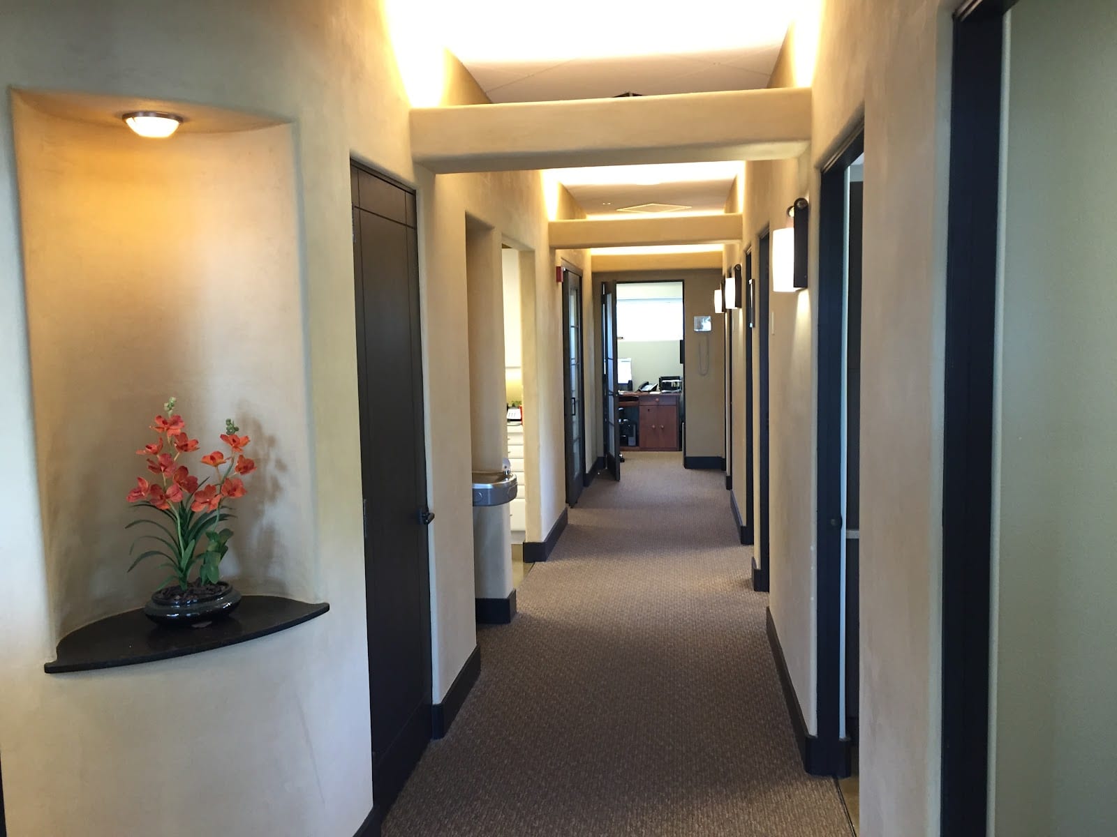 Sarasota Endodontic Solutions - Dr. Mitchell Edlund & Dr. Tyler Dolphin