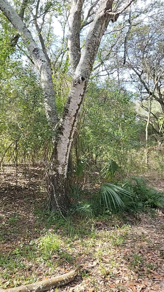 McKay Bay Nature Park, photo 2