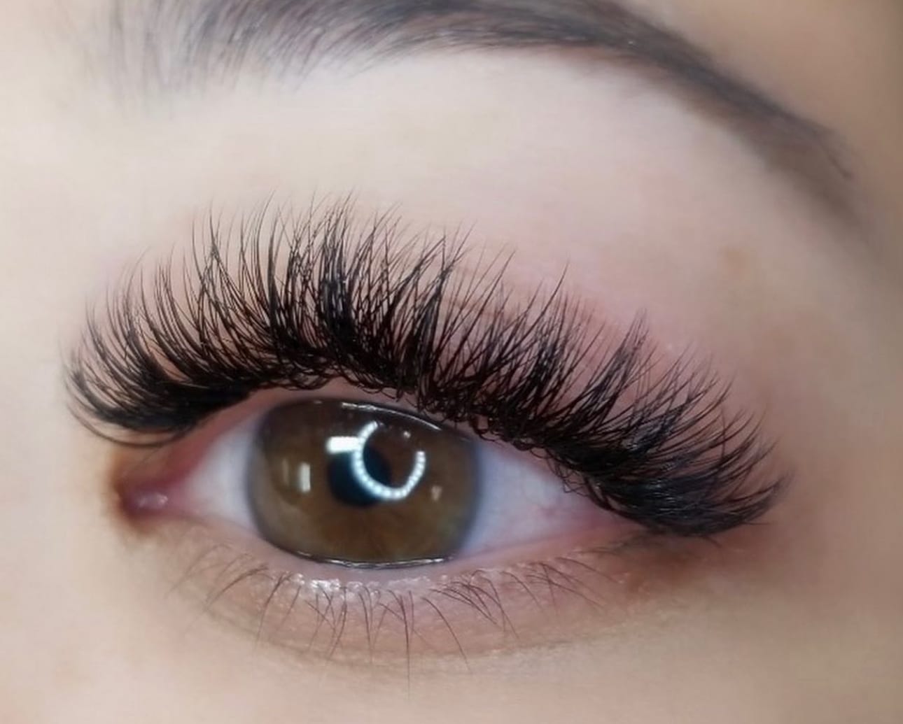 Top Lash HOU, photo 2