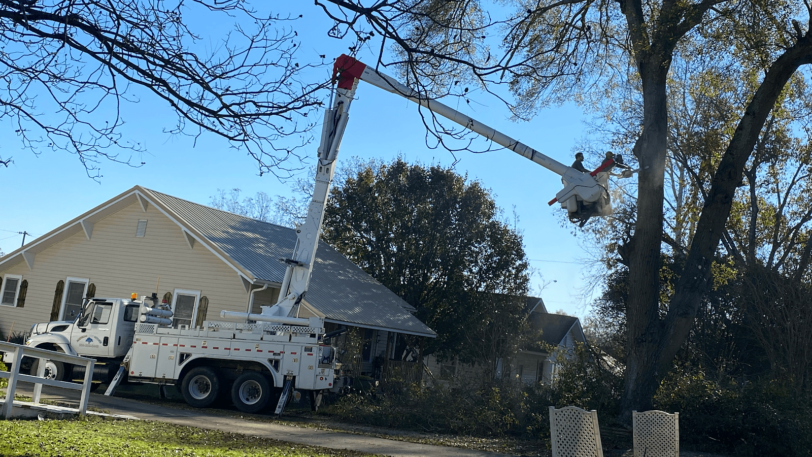 American Tree Service