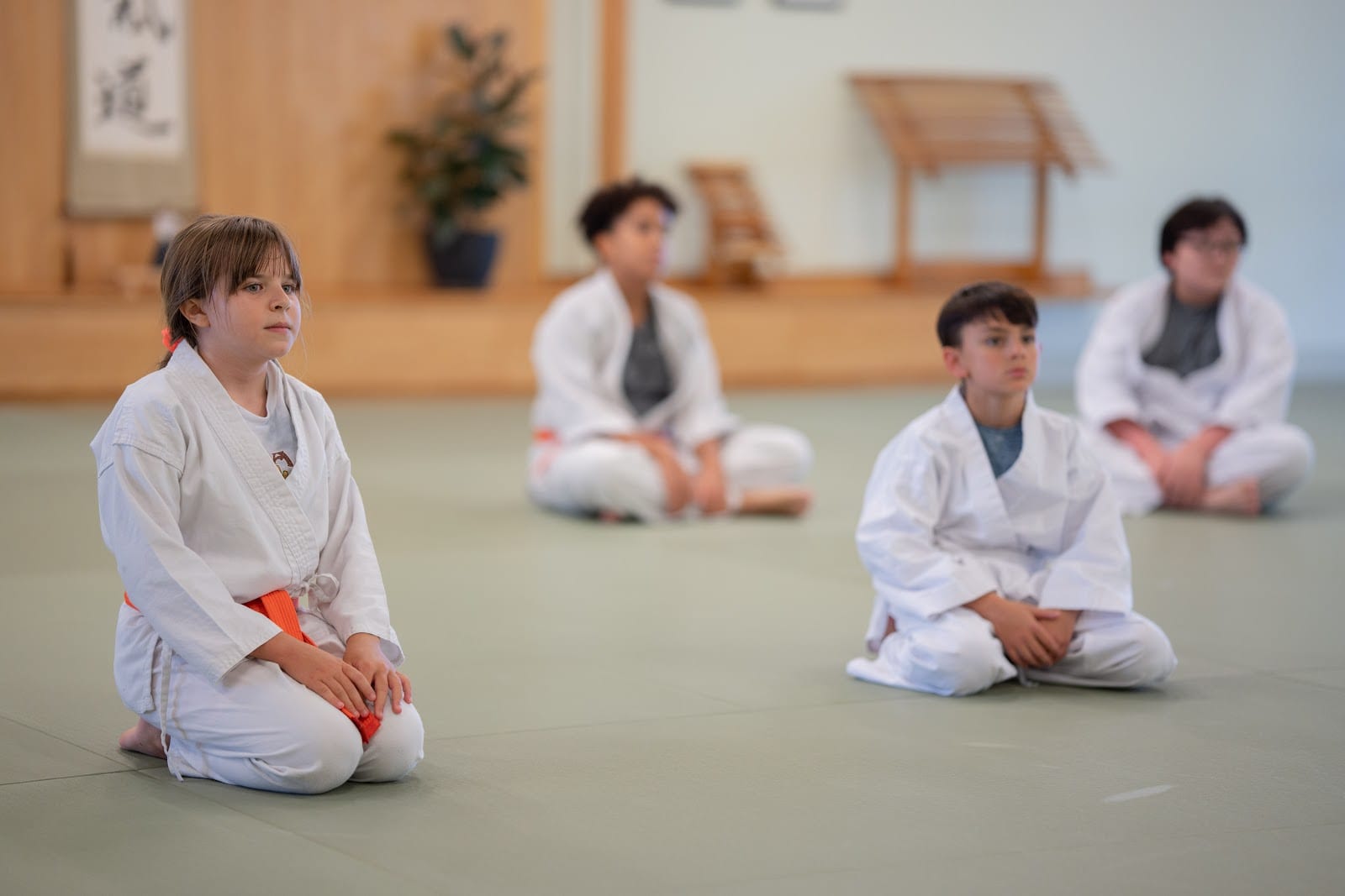 Aikido of Scottsdale, photo 4