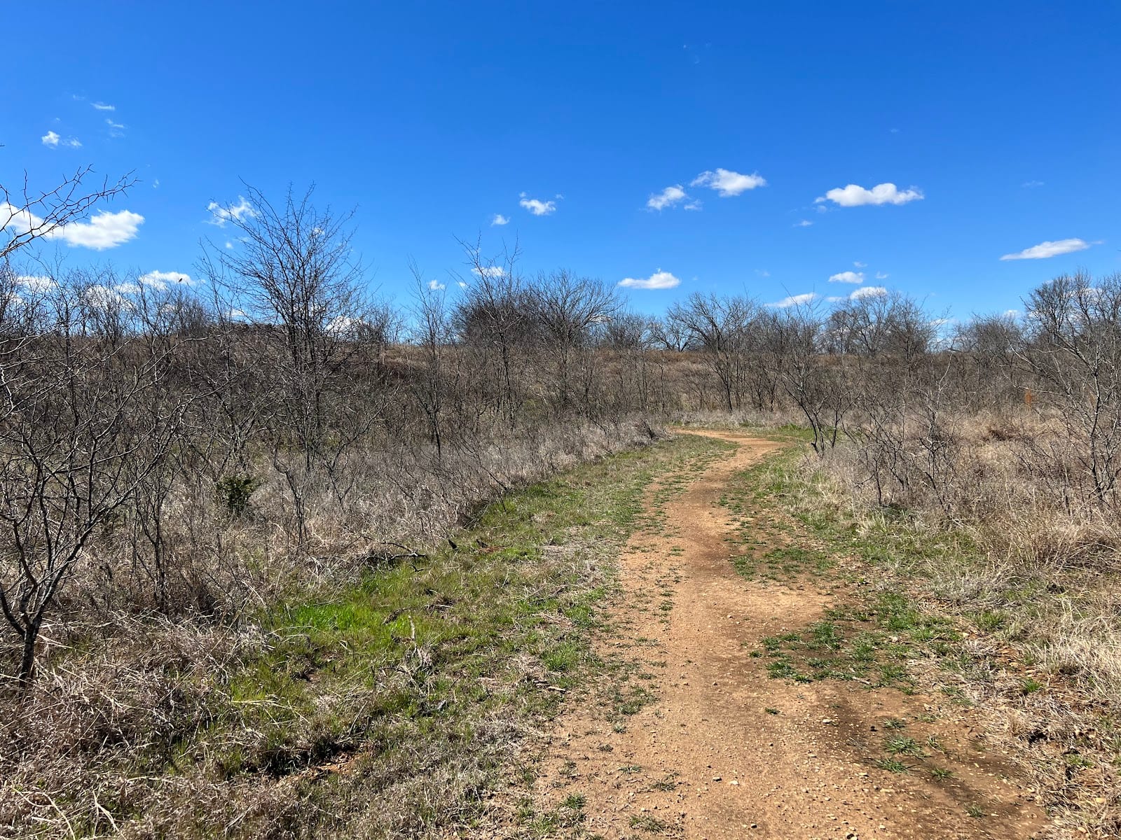 Denton Mountain Bike Trail, photo 3