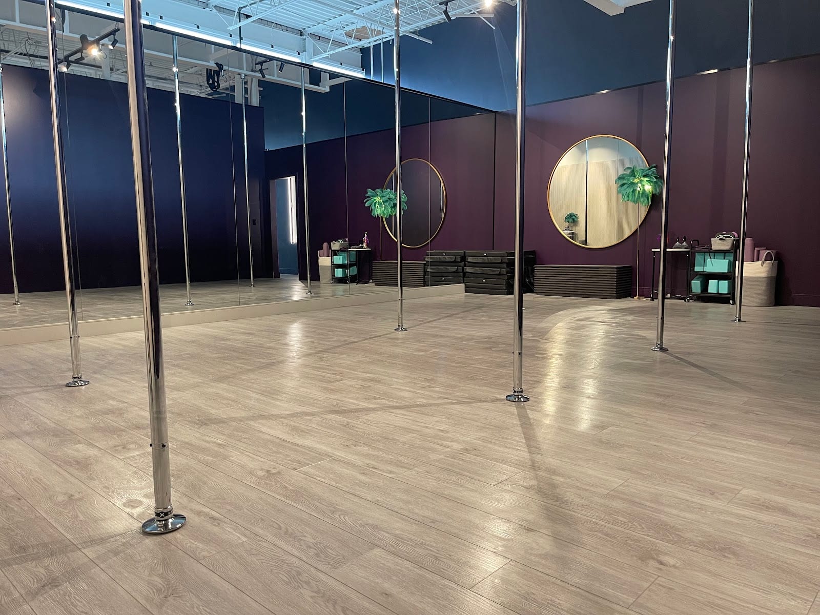 Dancing Geisha Pole Dance Academy, photo 4