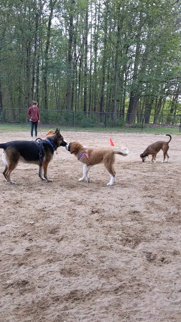 Saratoga Springs Dog Park, photo 2