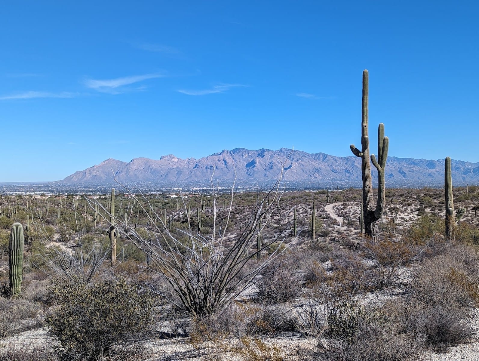 Greasewood Park