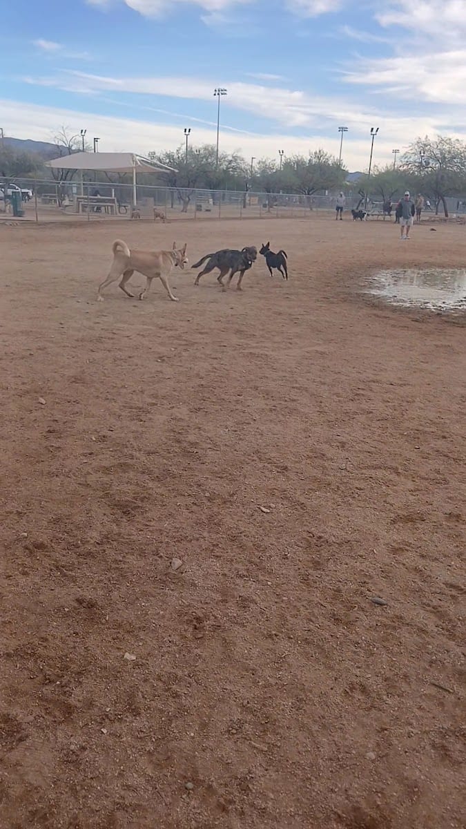 Udall Dog Park, photo 3