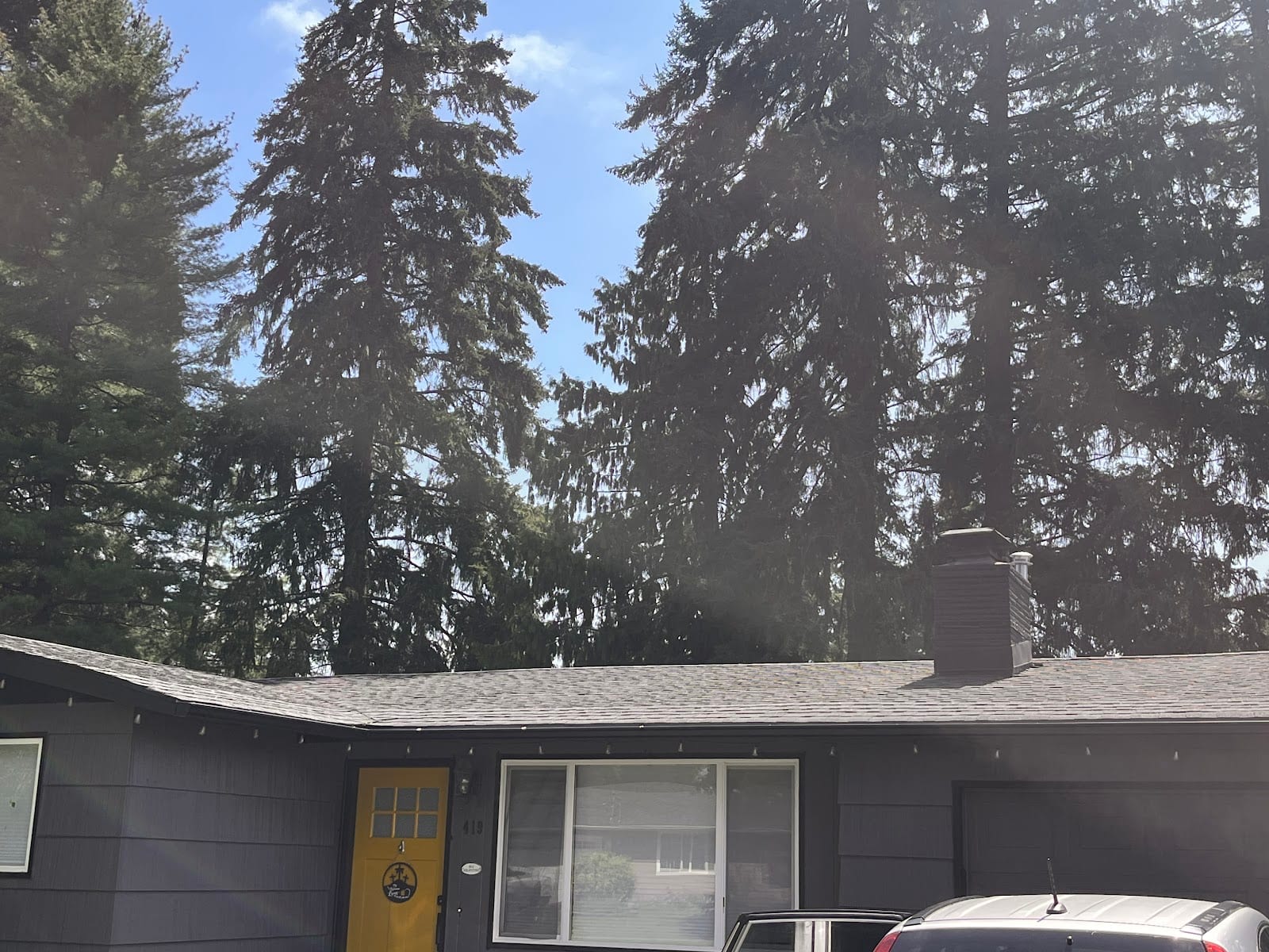 Bayside Exterior Cleaning, photo 4