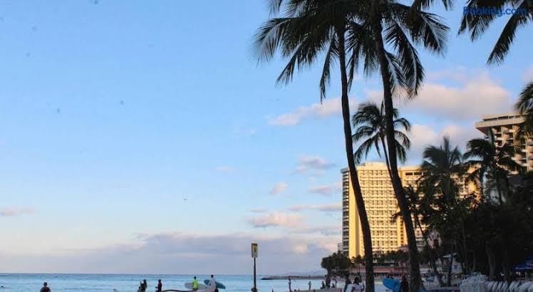 Seashore Waikiki studio 1 block from a beach No Resort Fees, photo 3