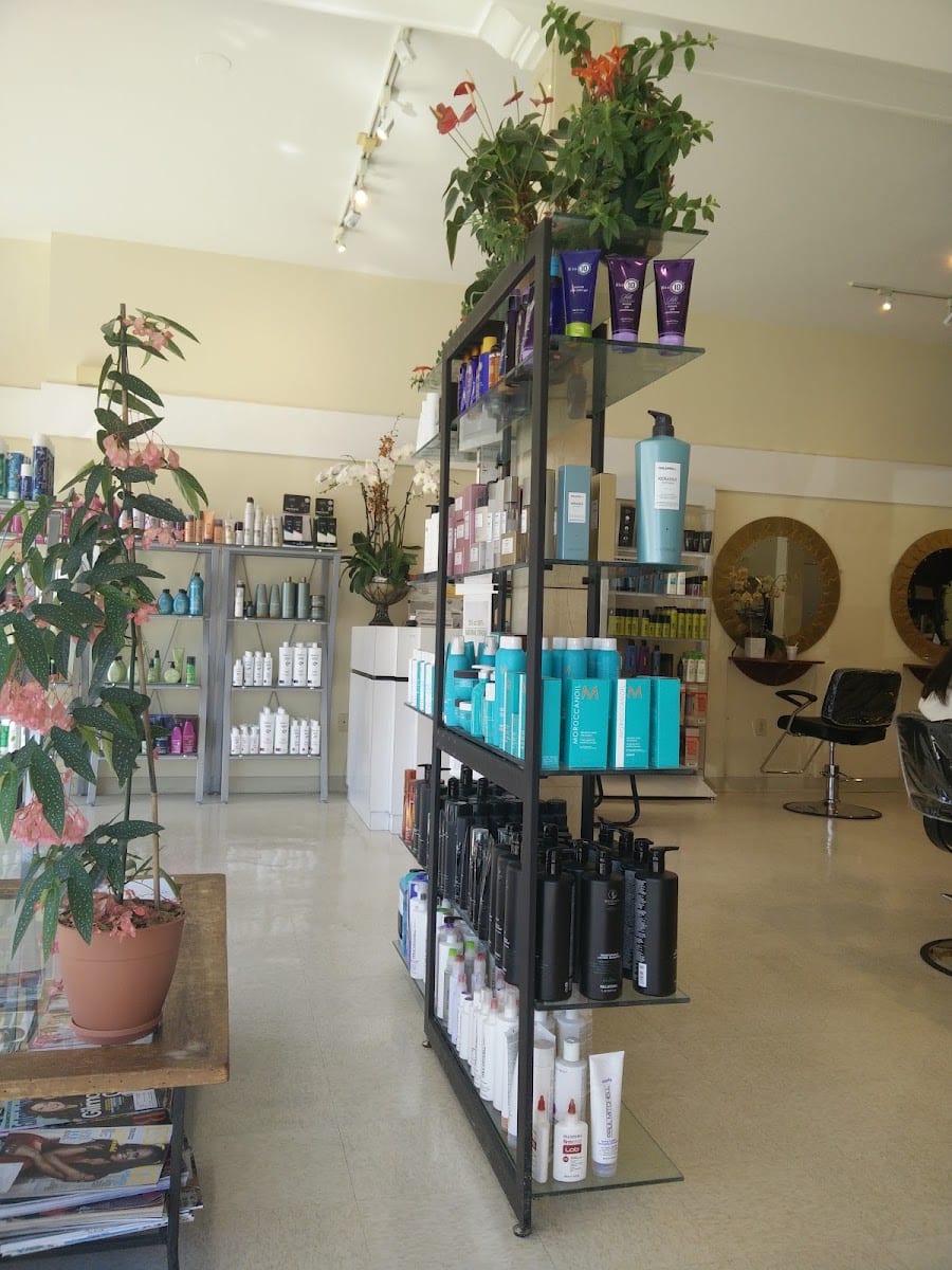 Trend 2000 Hair Design
