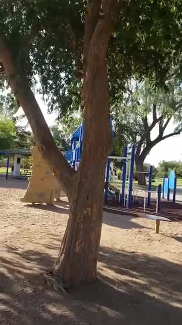 Scottsdale Rotary Park Playground, photo 3