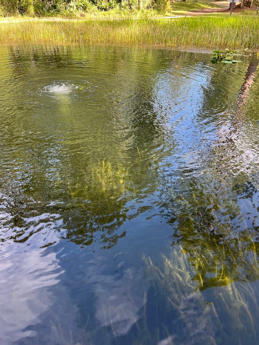 Camp Chowenwaw Pool, photo 3