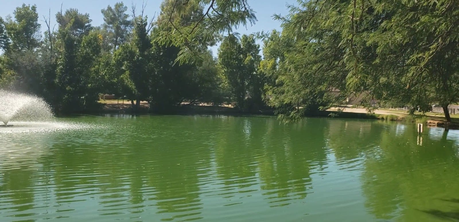 Fort Lowell Park Orchard, photo 2