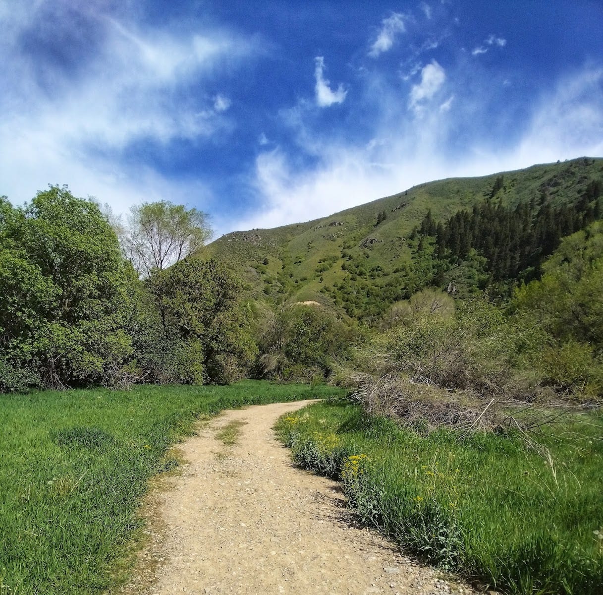 Blacksmith Fork River Trail