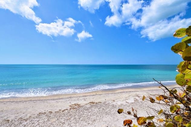 Michael Saunders & Company - Englewood Real Estate