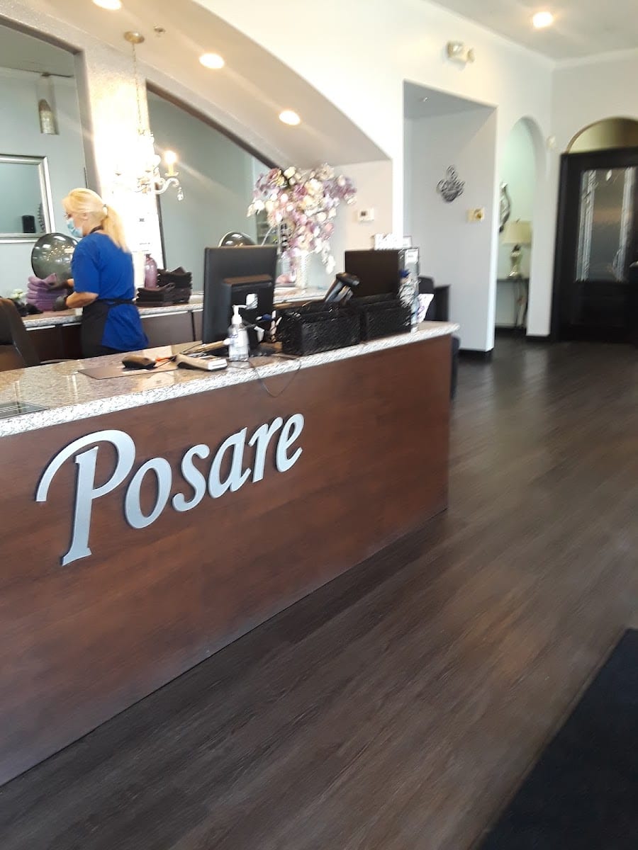 Posare Salon, photo 3