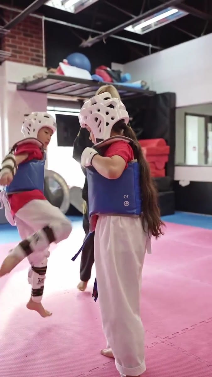 All Star Martial Arts World Richmond Hill, photo 3