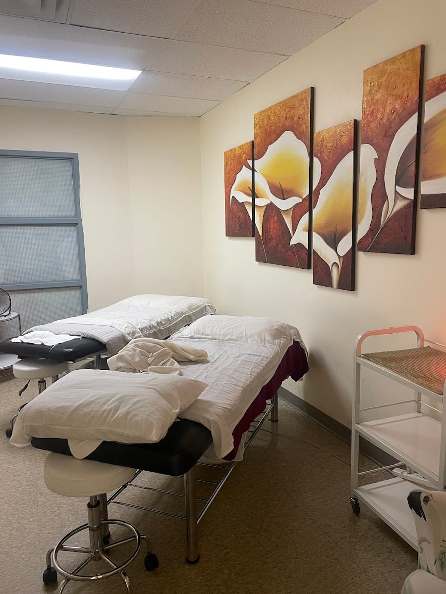 North York Healing & Wellness Centre ~ Acupuncture & RMT Massage, photo 3