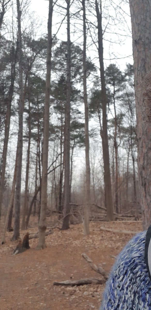 Betty Sutherland Trail Park, photo 3