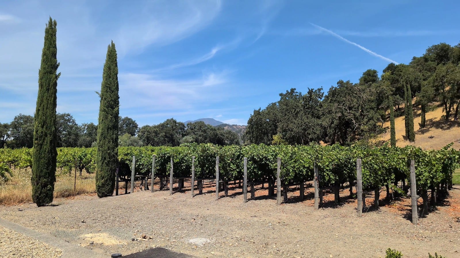 Clos Pegase Winery, photo 2