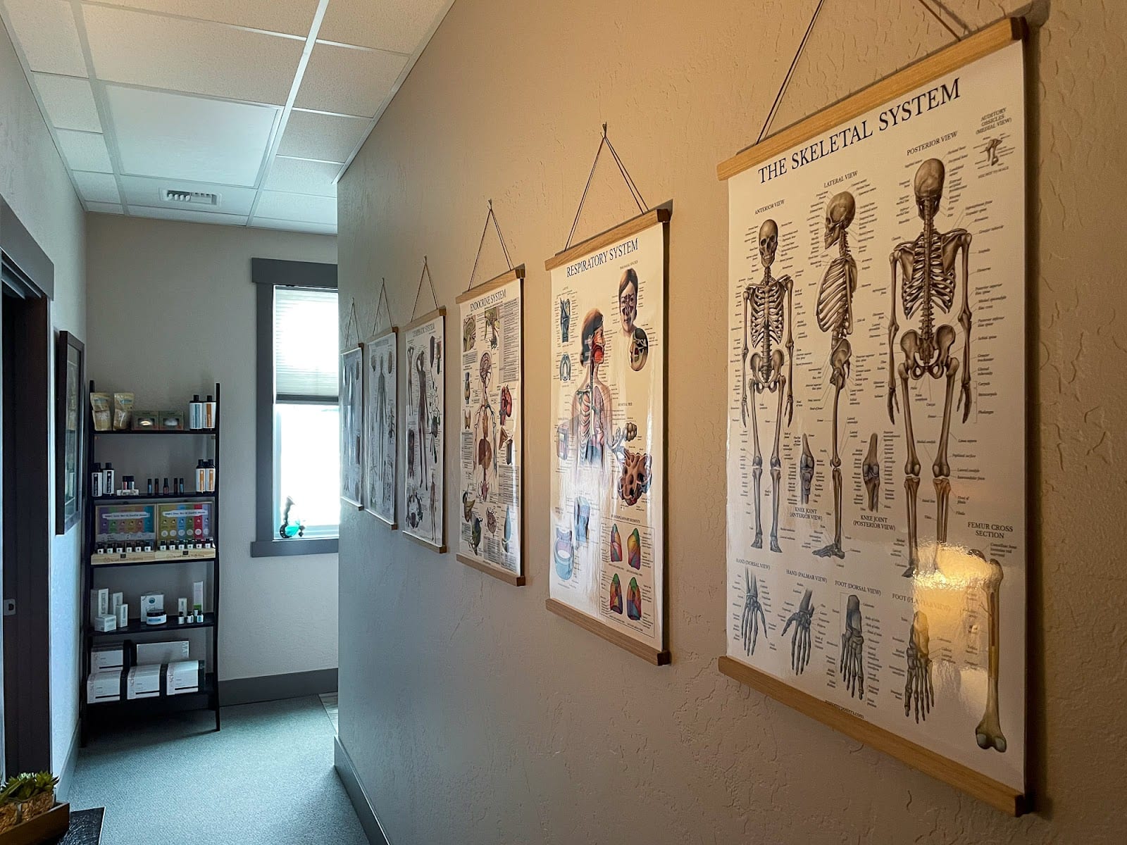 Mariposa Massage, photo 4