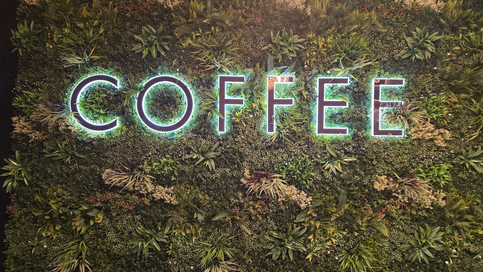 The Blonde Bean Coffee House, photo 2