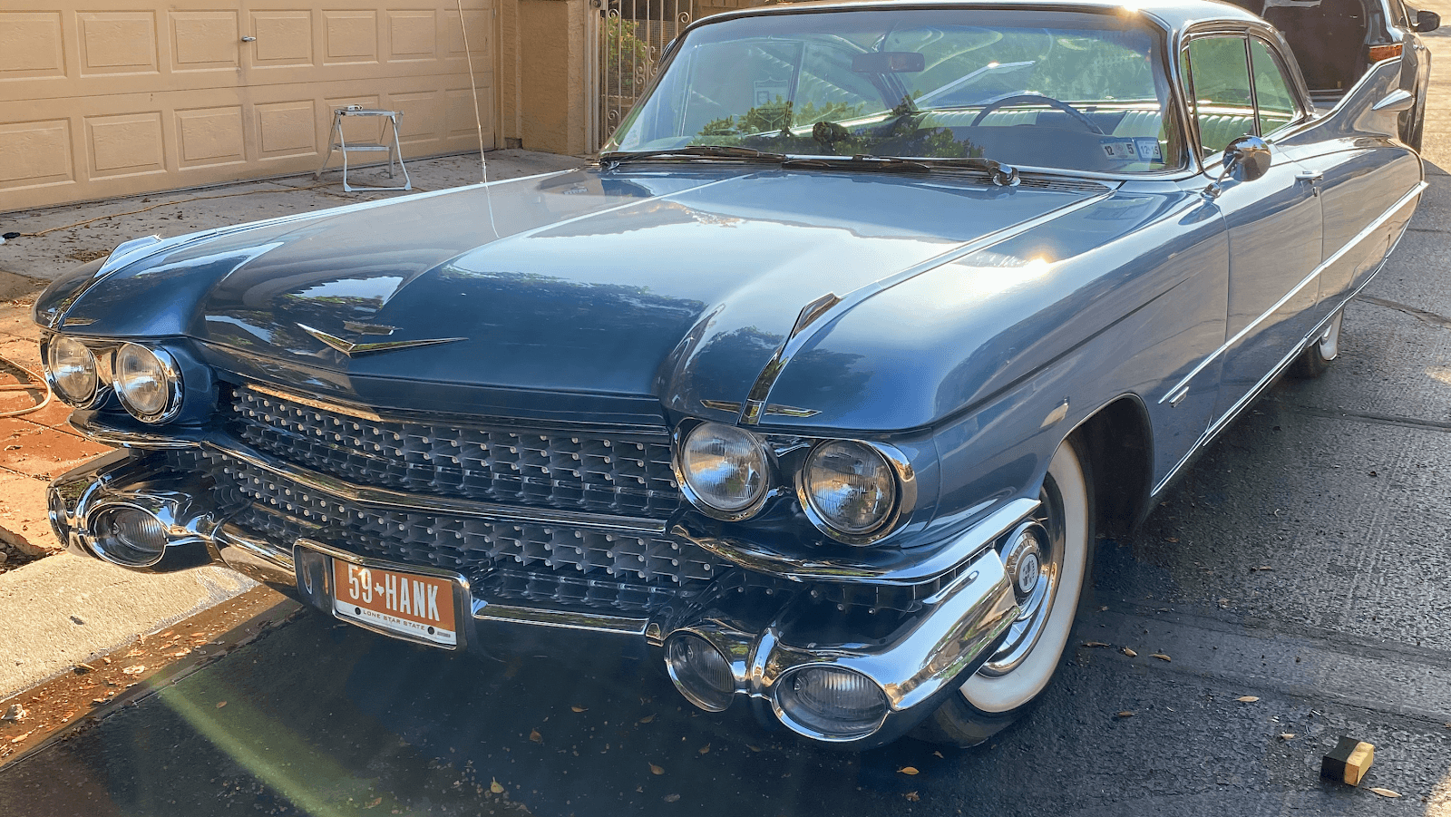 OrangeTree Auto Detailing