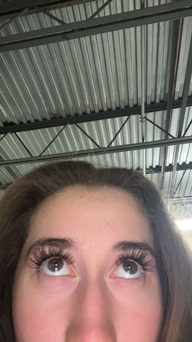 The Lash Professional, photo 4