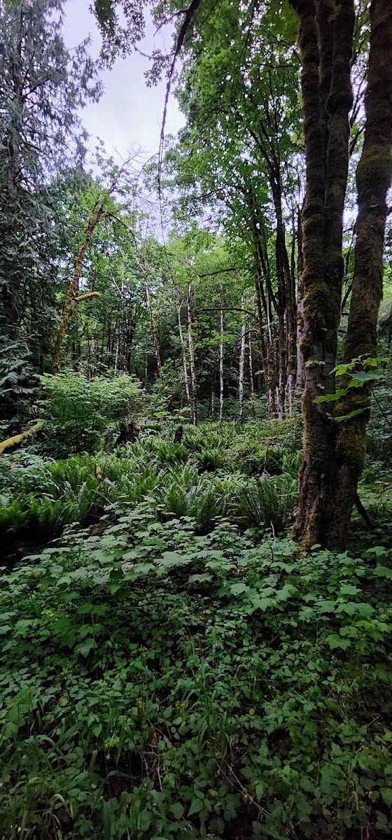 Kaiser Woods, photo 3