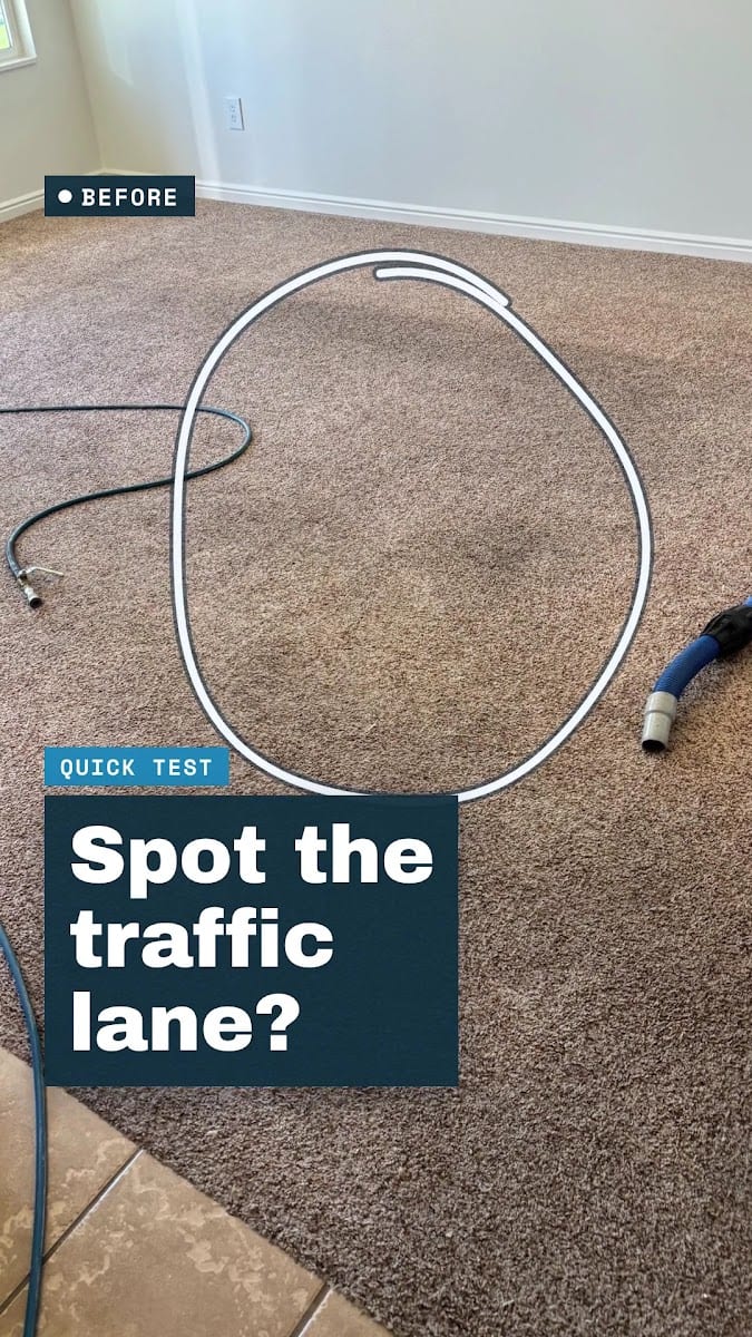 Speedy's Carpet Cleaning, photo 3