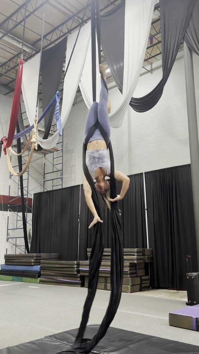 Aerial Dragons Studios, photo 3