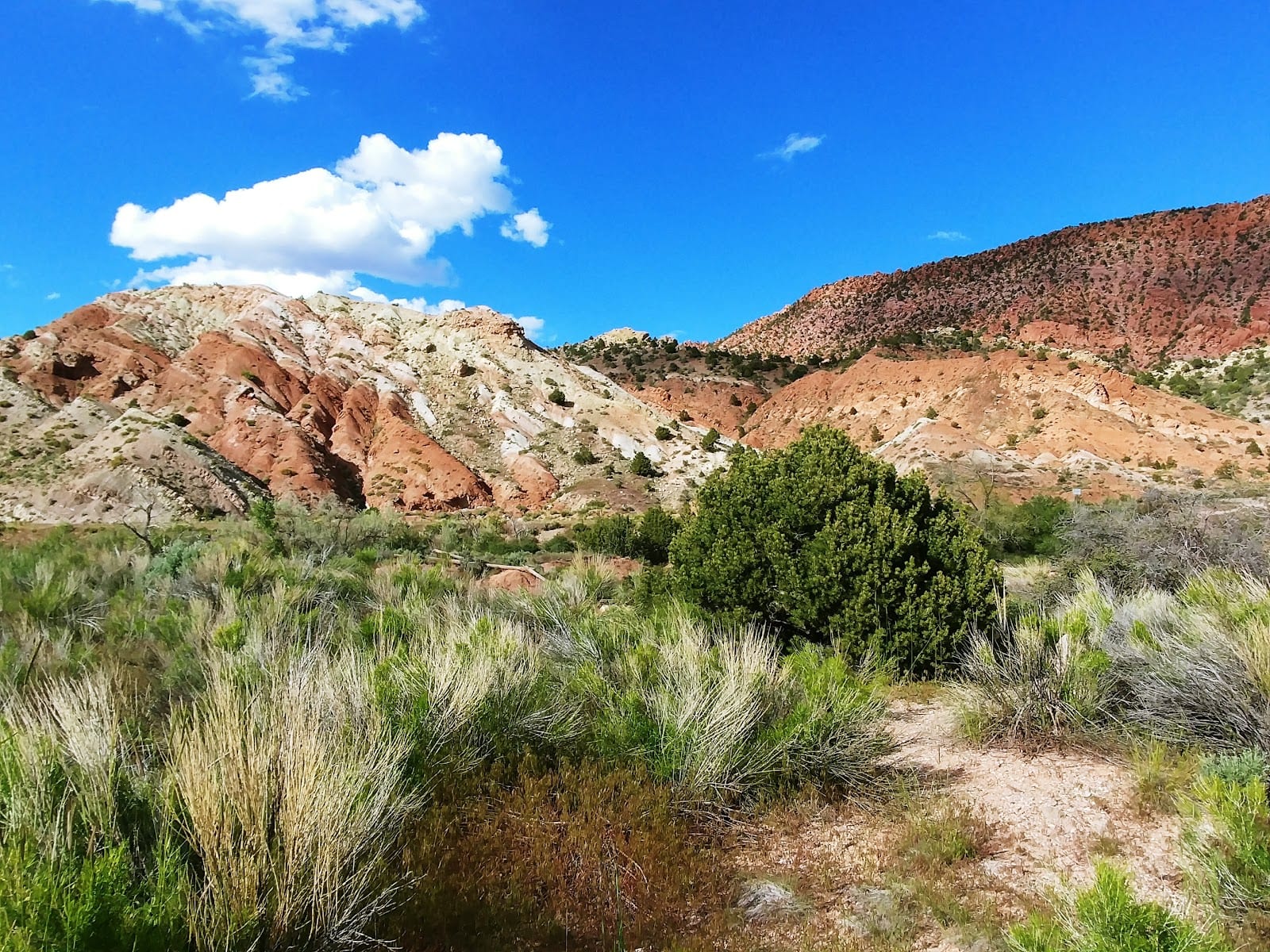 Canyon Park, East Side, photo 3
