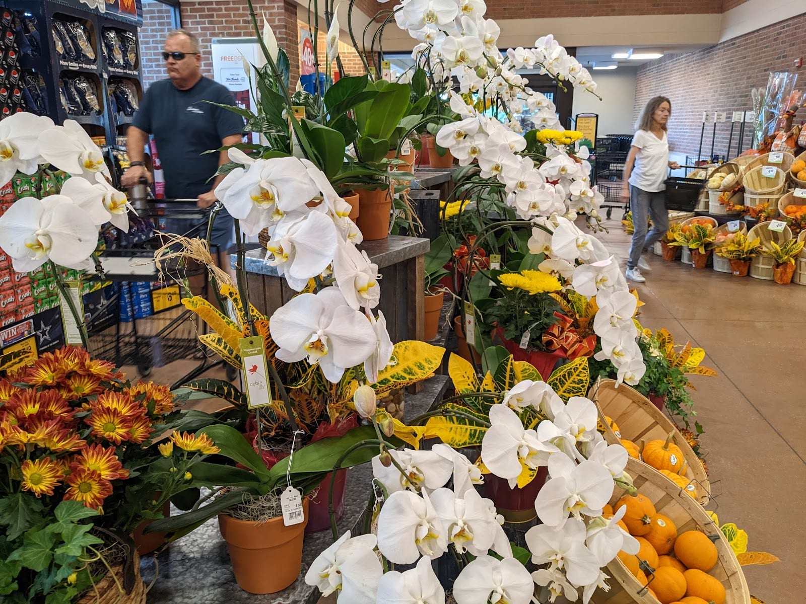 Tom Thumb, photo 4