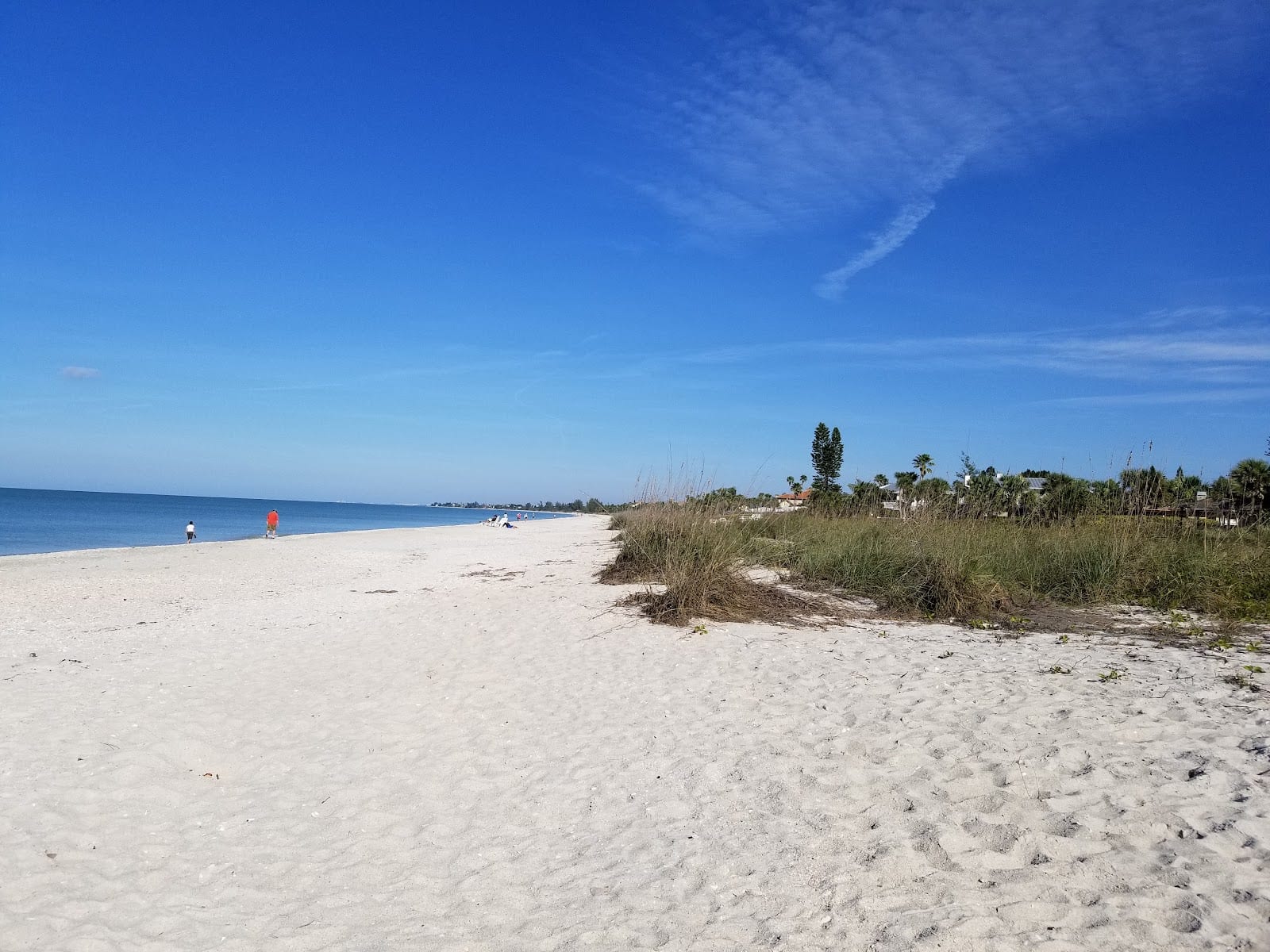 Casa Cay on Casey Key, photo 2
