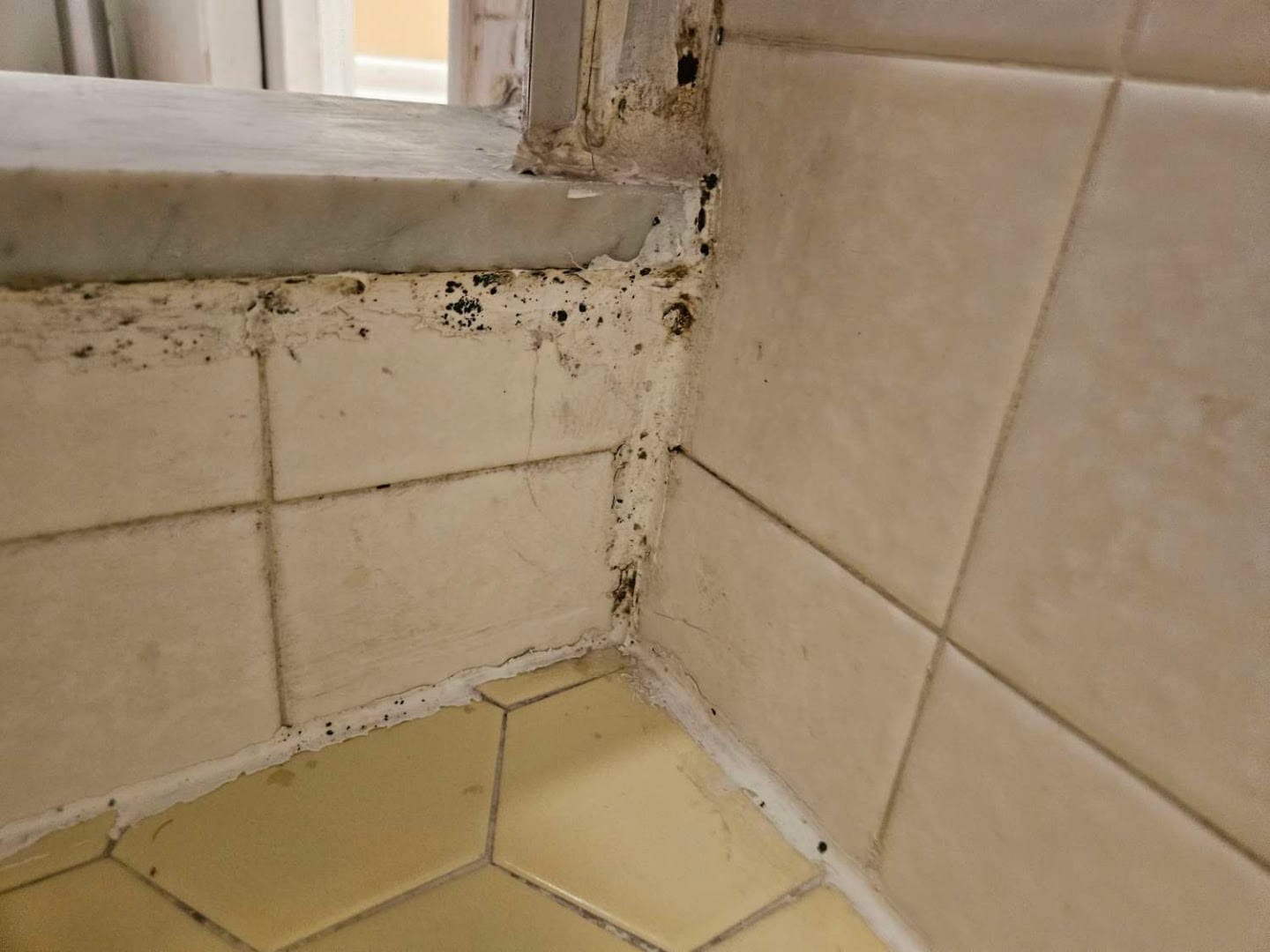 Healthy Home Inspections of Port Charlotte, photo 4
