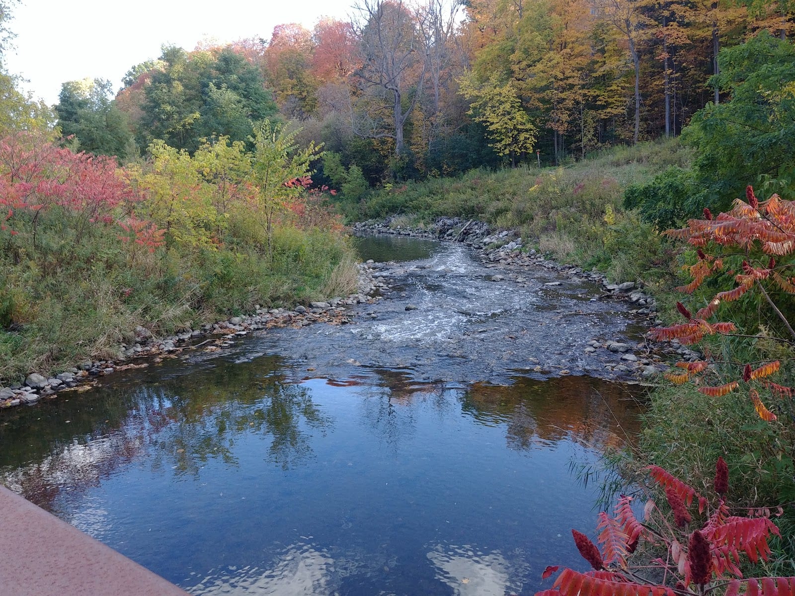 E.T. Seton Park - North