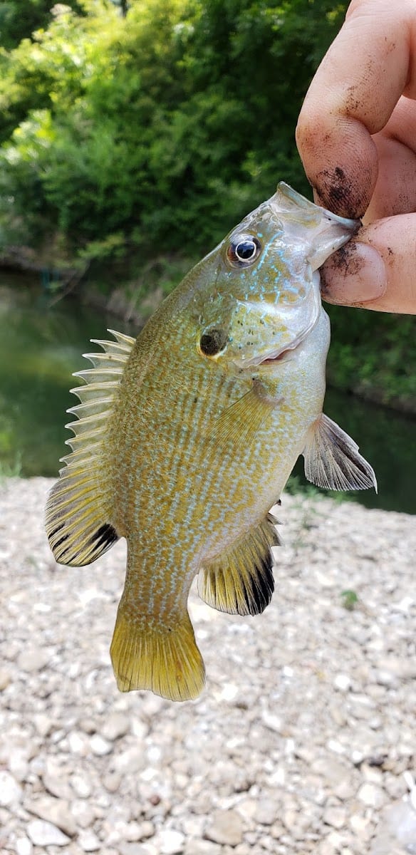 Brushy Creek Regional Trail, photo 3