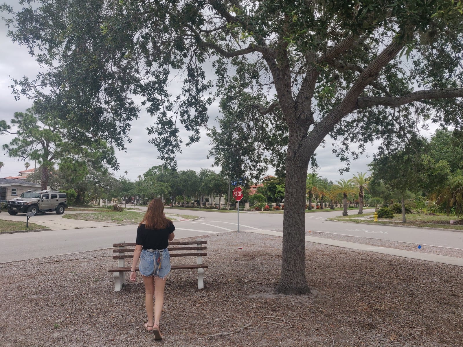Pocket Park at Pensacola Rd, photo 2