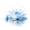 Blue Lotus Day Spa