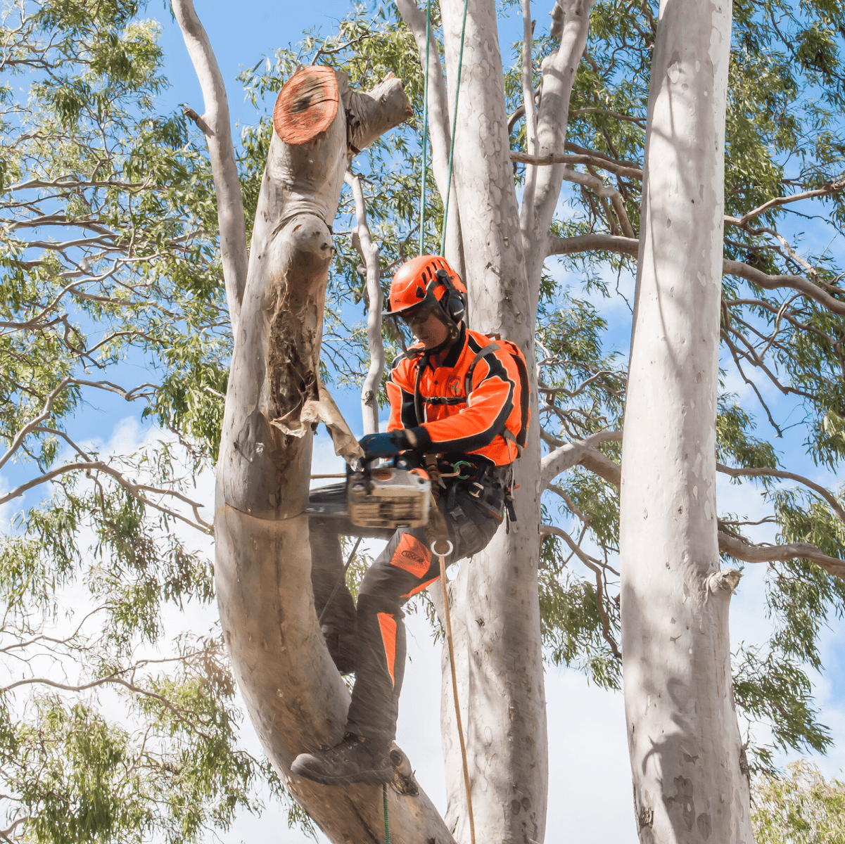 DAM Services - Diverse Asset Maintenance Services, photo 2