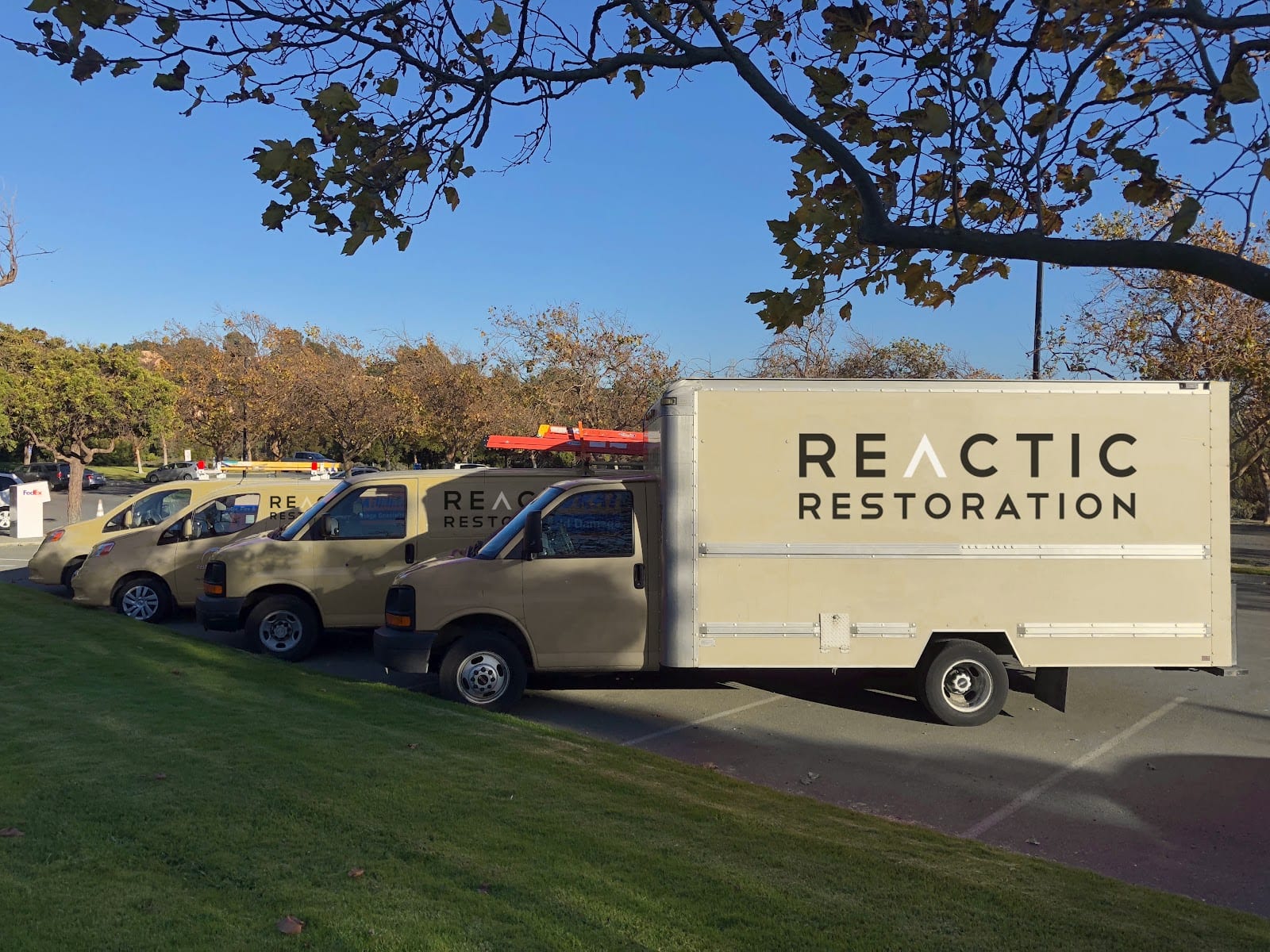 Reactic Restoration, photo 4
