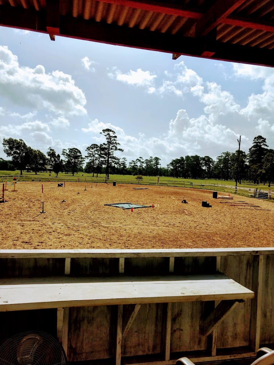 Tyrrell Park Stables